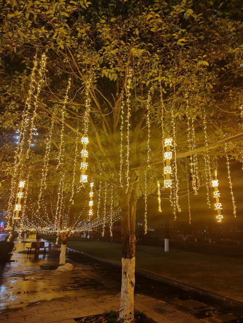迎春活动好戏连台