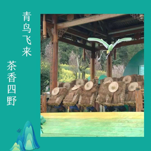 音乐情景剧《石生灵》在“巴山青”茶文化节开幕式上成功首演