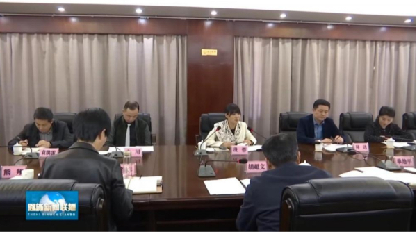 花开正当时——多项目齐头并进